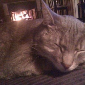 Meet your Posher, Ralph